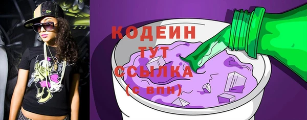 шишки Верхний Тагил
