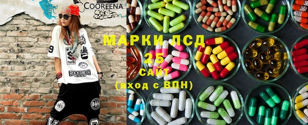 шишки Верхний Тагил