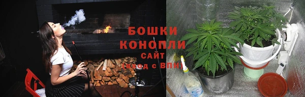ГАЛЛЮЦИНОГЕННЫЕ ГРИБЫ Волосово