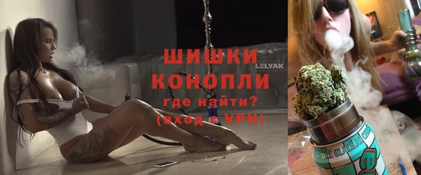 шишки Верхний Тагил