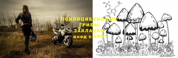 соль ск Заволжск