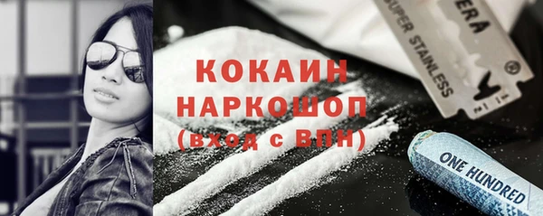 шишки Верхний Тагил